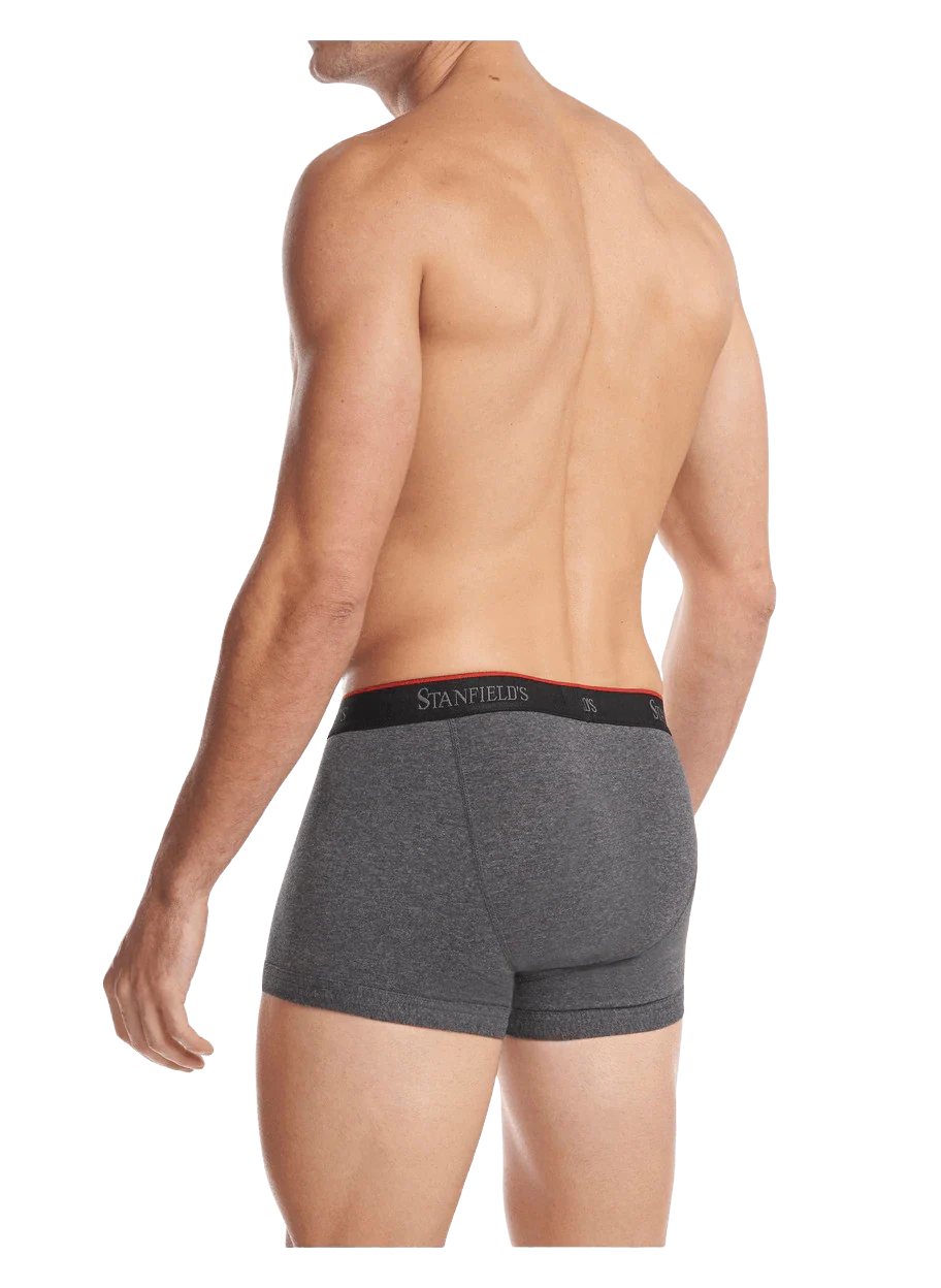 Men's Stretch Trunk - 2 Pack - Image 4
